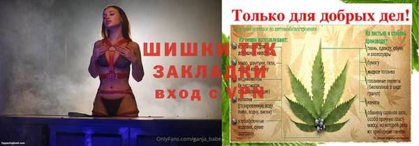 тгк Арсеньев