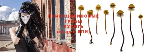 дурь Весьегонск