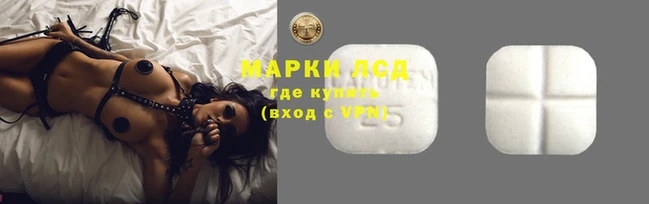 мяу мяу мука Аркадак