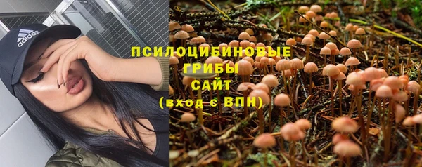 тгк Арсеньев