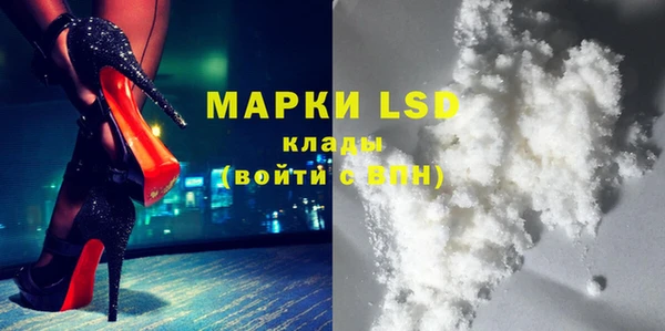 мяу мяу мука Аркадак